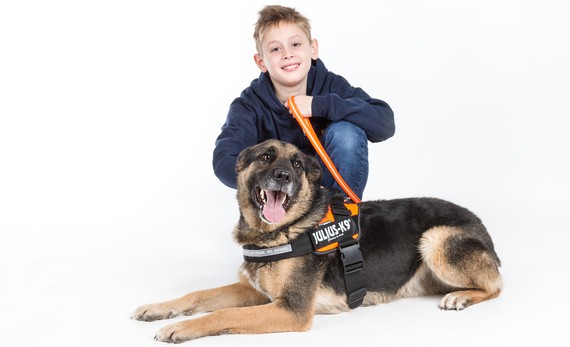 Juki and Julius-K9® - Leading The Way In Harnesses