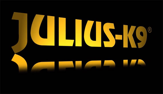 Julius-K9® Company retrospective