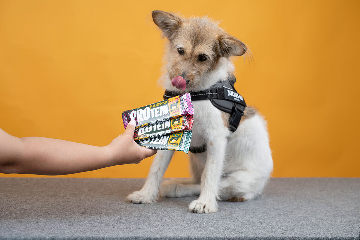 JULIUS-K9 Protein snack bars for dogs
