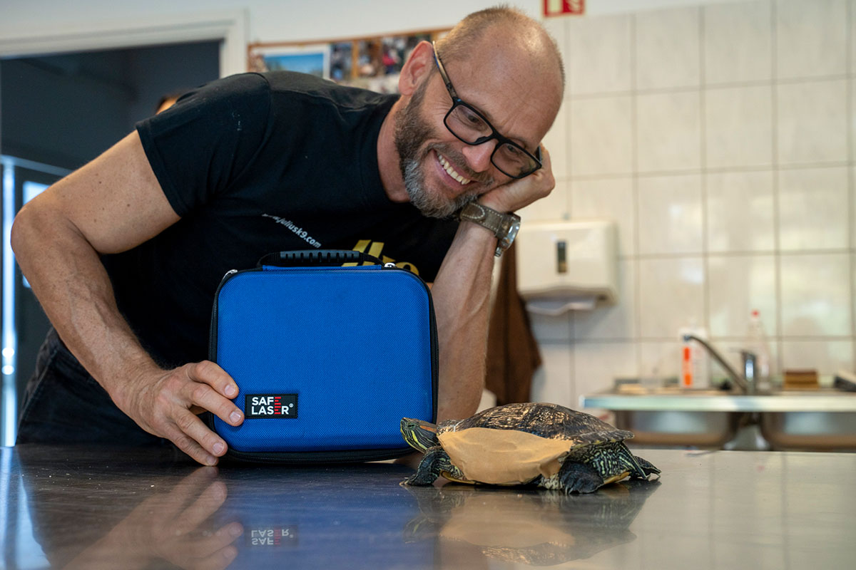 Turtle at the Budapest Zoo